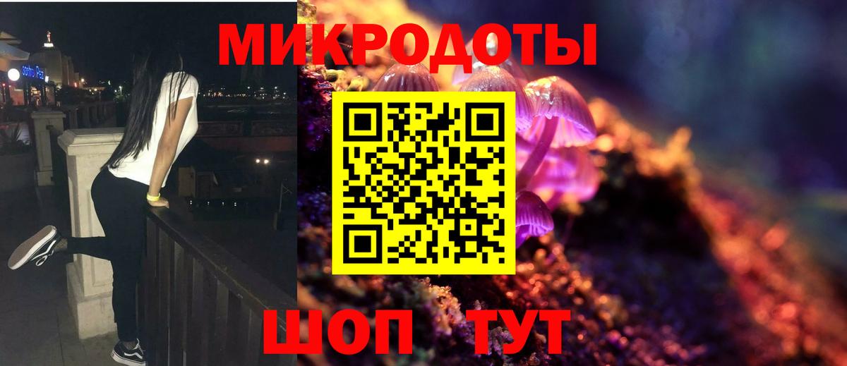 Мичуринск  Галлюциногенные грибы Psilocybe  Вход с VPN 